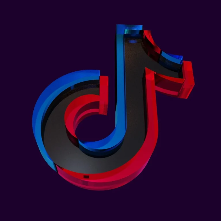 cat costa un tiktok univers in lei
