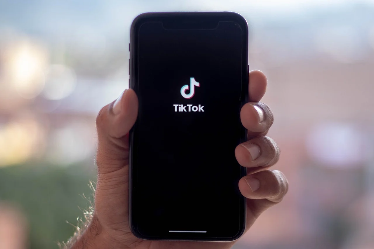 cat plateste tiktok pentru vizualizari